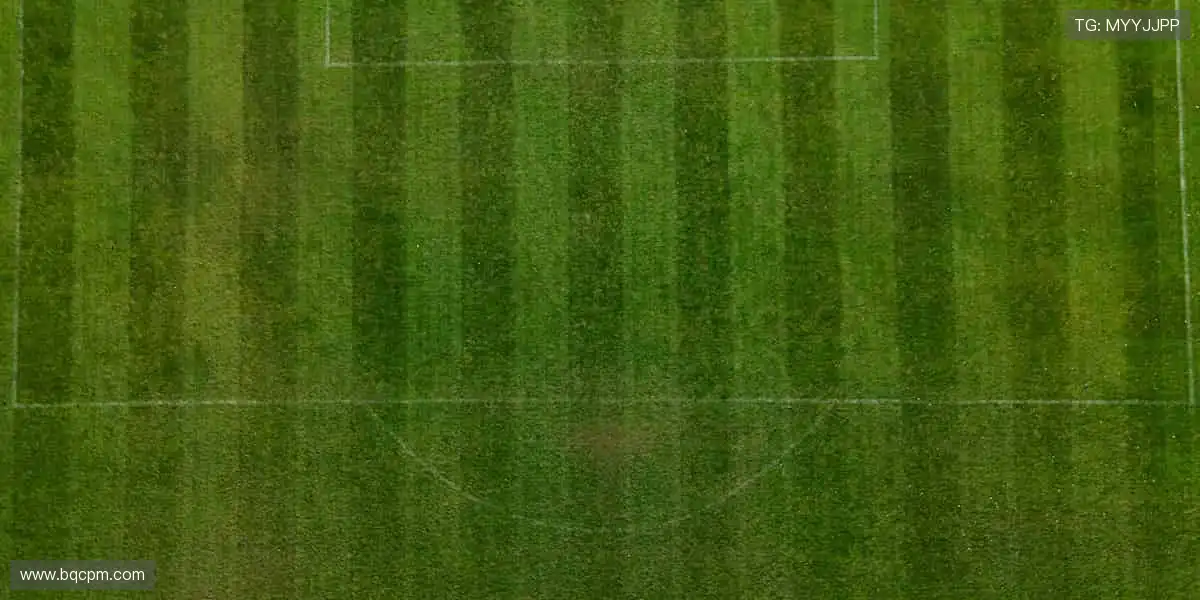 👟【潮流出街】专业装备，让运动更有型！